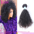 Wholesale cheap kinky curly virgin hair 8A grade high quality afro kinky hair